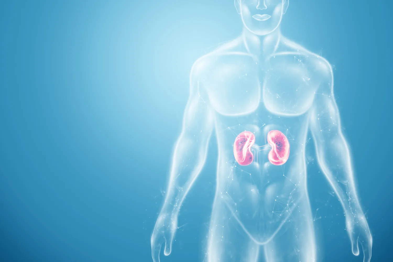 Glomerulopatías y enfermedades autoinmunes del riñón